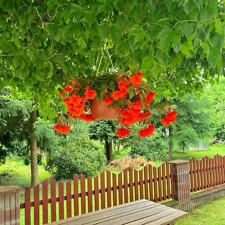 Golebi Puch - Przytulny Na Wylacznosc Daire