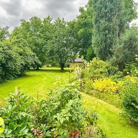 Golebi Puch - Przytulny Na Wylacznosc * Kudowa-Zdroj