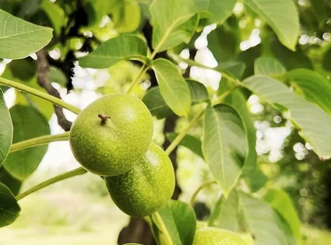 Apartmán Golebi Puch - Przytulny Na Wylacznosc *