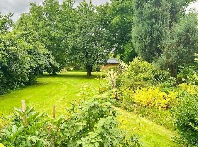 Golebi Puch - Przytulny Na Wylacznosc * Kudowa-Zdrój